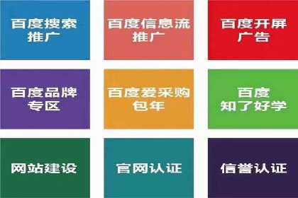 深入解析SEM账户竞价运营成功案例